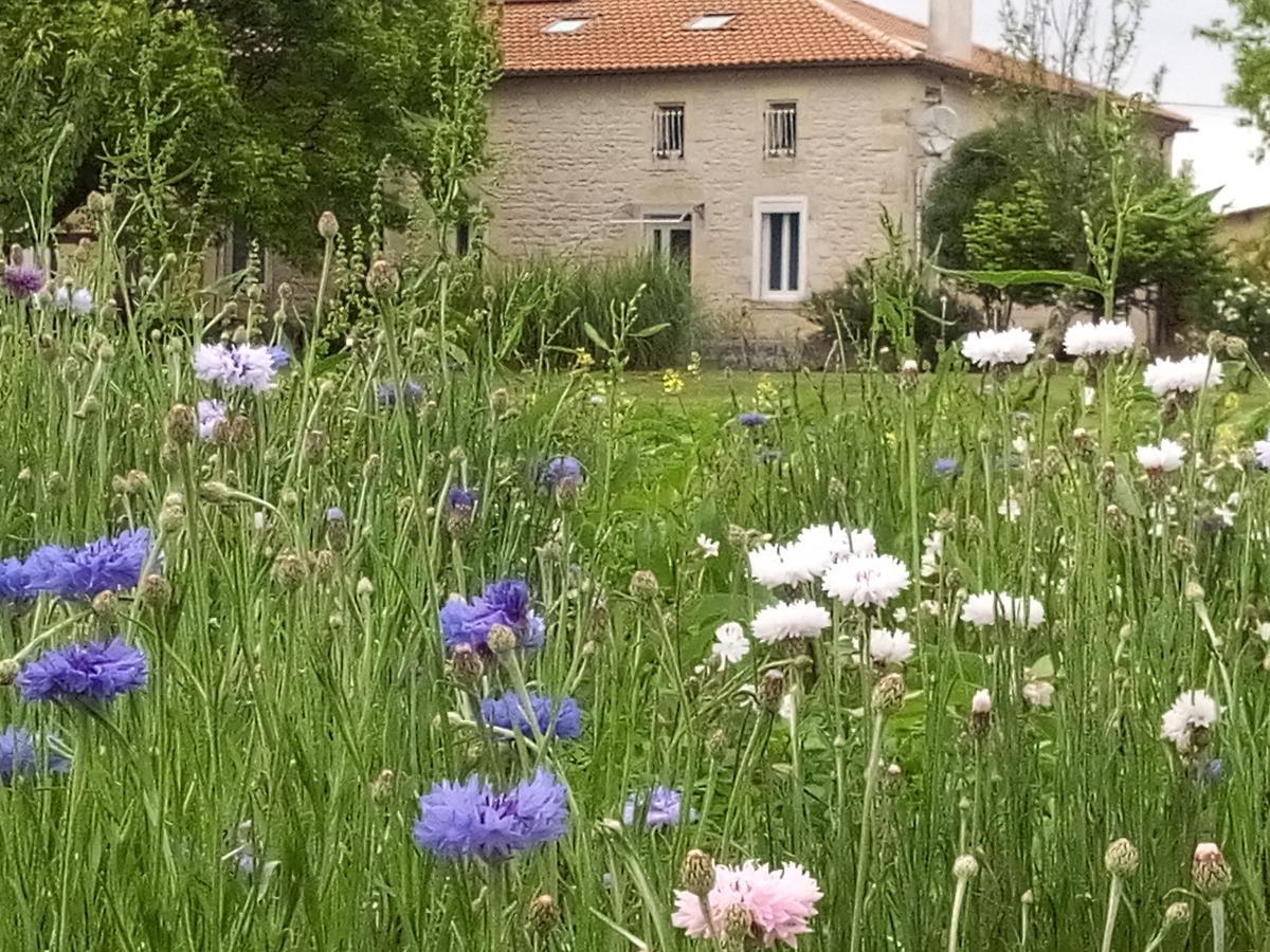 Civrac-en-Médoc Chambres D'Hotes Chateau Pierre De Montignac מראה חיצוני תמונה