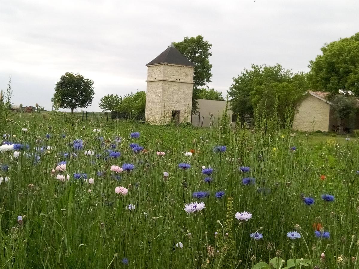 Civrac-en-Médoc Chambres D'Hotes Chateau Pierre De Montignac מראה חיצוני תמונה